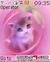 Cute kitty